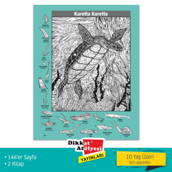 DİKKAT ATÖLYESİ FAVORİ HİDDEN PİCTURE 2'Lİ SET