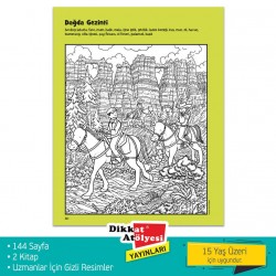 DİKKAT ATÖLYESİ UZMANLAR İÇİN HİDDEN PİCTURE 2'li SET